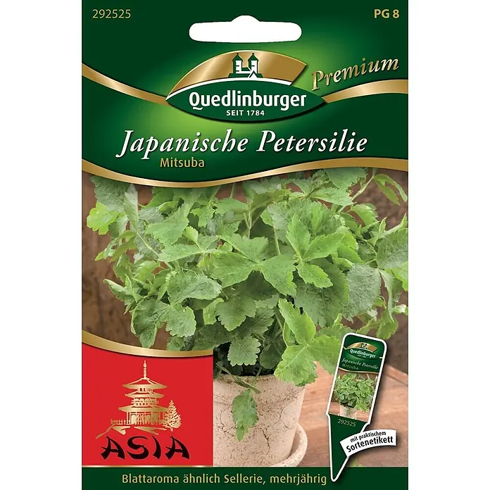 Quedlinburger SAATGUT Japanische Petersilie Mitsuba -  - Grüne Quedlinburger Samentüte für Mitsuba (Japanische Petersilie) mit Pflanzenbild und praktischem Sortenetikett.