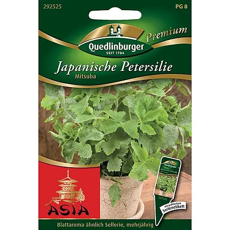 Quedlinburger SAATGUT Japanische Petersilie Mitsuba