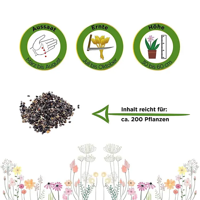 Deine Gartenwelt Sauerampfer De Belleville -  - Samen mit Icons für Aussaat (März-Aug), Ernte (Juli-Okt), Höhe (30-60cm) und Ertrag (ca. 200 Pflanzen).