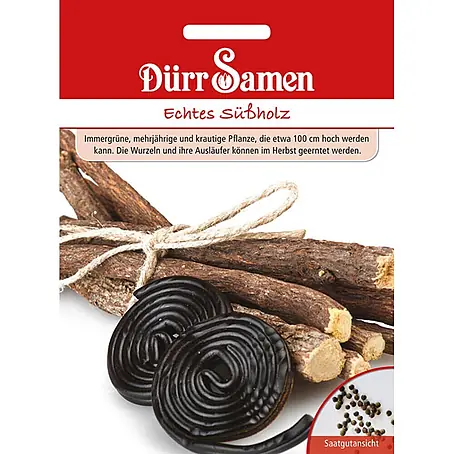 Dürr Samen Echtes Süßholz