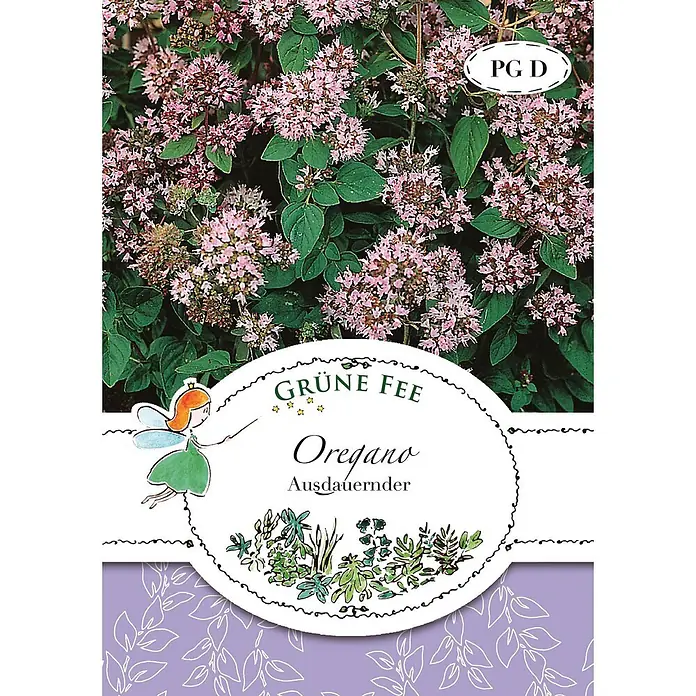 Grüne Fee Kräutersamen Oregano - Origanum vulgare ssp. vulgare, Saatzeit: April, Erntezeit: Mai - Blühender Oregano mit rosa Blüten und grünen Blättern, teilweise verdeckt von einer Samtüte mit Feenillustration, 'Grüne Fee Oregano'-Text und Kräuterzeichnungen.