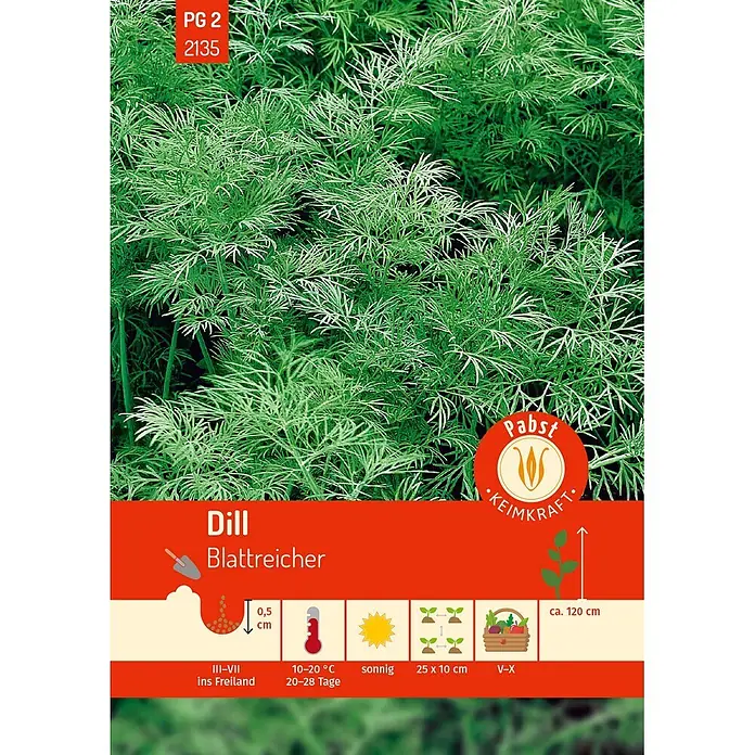 Pabst Keimkraft Kräutersamen Dill - Anethum graveolens var. hortorum, Saatzeit: März, Erntezeit: Mai - Leuchtend grüne Dillpflanzen mit feinen Blättern, dazu eine Samenpackung mit detaillierten Anbauhinweisen für 'Dill Blattreicher'.