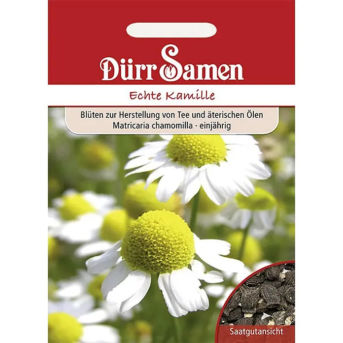 Dürr Samen Kräutersamen Kamille - Matricaria chamomilla, Saatzeit: März, Erntezeit: Mai - Rote Kamillen-Samentüte mit blühenden Kamillen und Detailansicht der Samen.