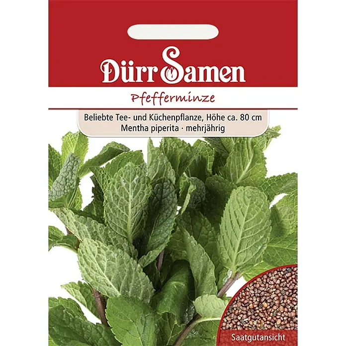 Dürr Samen Kräutersamen Pfefferminze - Mentha piperita, Saatzeit: März, Erntezeit: Juli - Dürr Samen Pfefferminze Saatgut-Packung mit Minzblättern und Saatgutansicht.