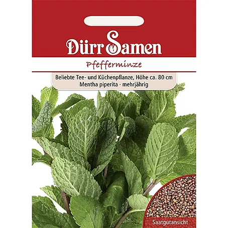 Dürr Samen  Kräutersamen Pfefferminze