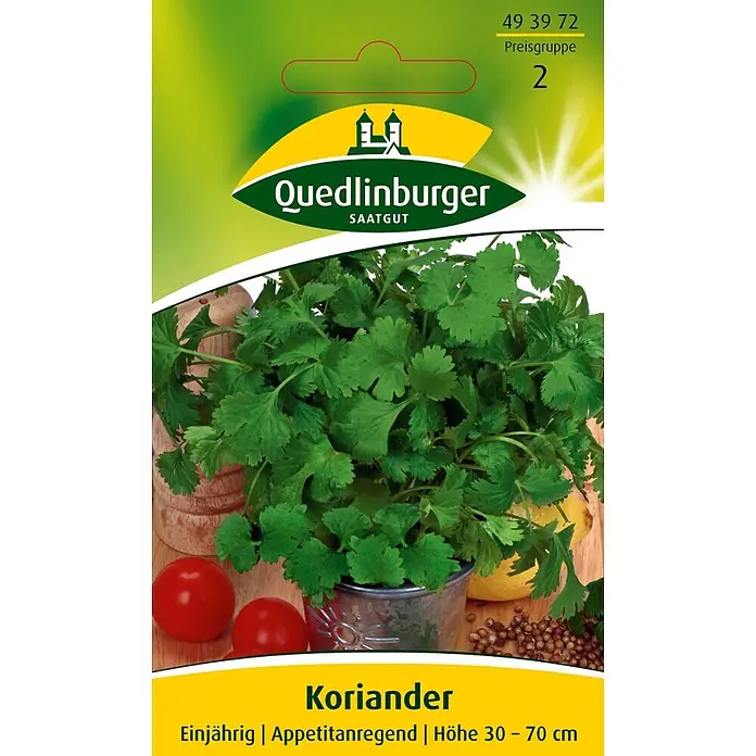 Quedlinburger SAATGUT Kräutersamen Koriander - Coriandrum sativum, Saatzeit: April, Erntezeit: April - Quedlinburger Saatgut Koriander-Samenpäckchen mit grüner Pflanze, Tomaten und Samen.