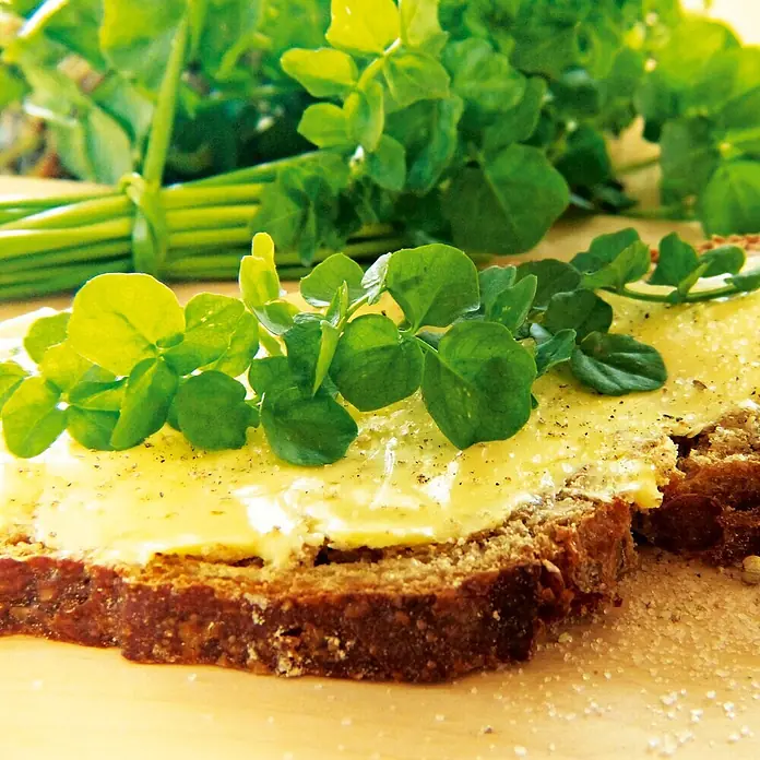 Deine Gartenwelt Brunnenkresse Kultivierte -  - Dunkles Brot mit gelbem Aufstrich und frischer Brunnenkresse, mit Pfeffer bestreut, auf Holzuntergrund.