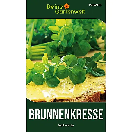 Deine Gartenwelt Brunnenkresse Kultivierte