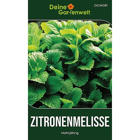 Deine Gartenwelt Zitronenmelisse