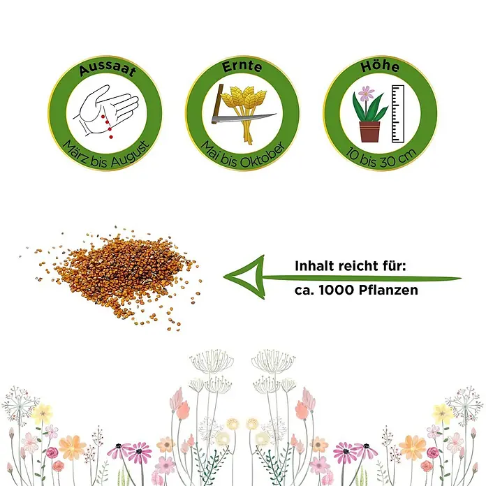 Deine Gartenwelt Brunnenkresse Kultivierte -  - Sameninformationen: Aussaat März-Aug, Ernte Mai-Okt, Höhe 10-30cm. Packung reicht für ca. 1000 Pflanzen.