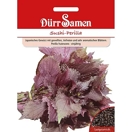 Dürr Samen  Kräutersamen Perilla