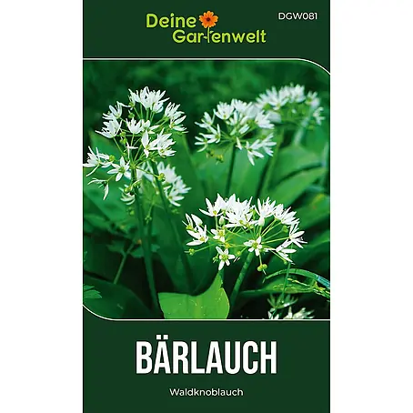 Deine Gartenwelt Bärlauch