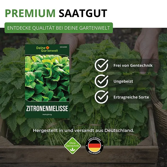 Deine Gartenwelt Zitronenmelisse -  - Zitronenmelisse Samenpäckchen, Premium, gentechnikfrei, Made in Germany, mit frischen Pflanzen in Holzkiste.