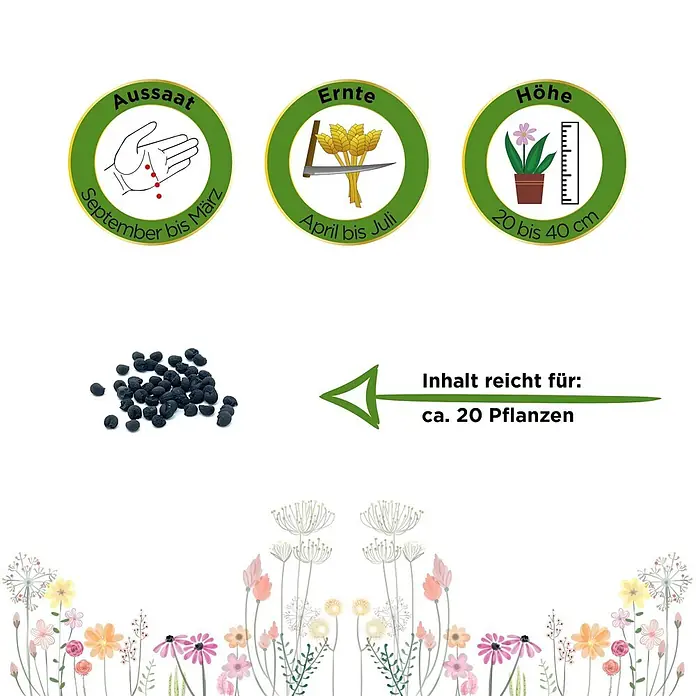 Deine Gartenwelt Bärlauch -  - Kleine dunkle Samen mit Aussaat-, Ernte- und Höhenangaben. Inhalt reicht für ca. 20 Pflanzen.