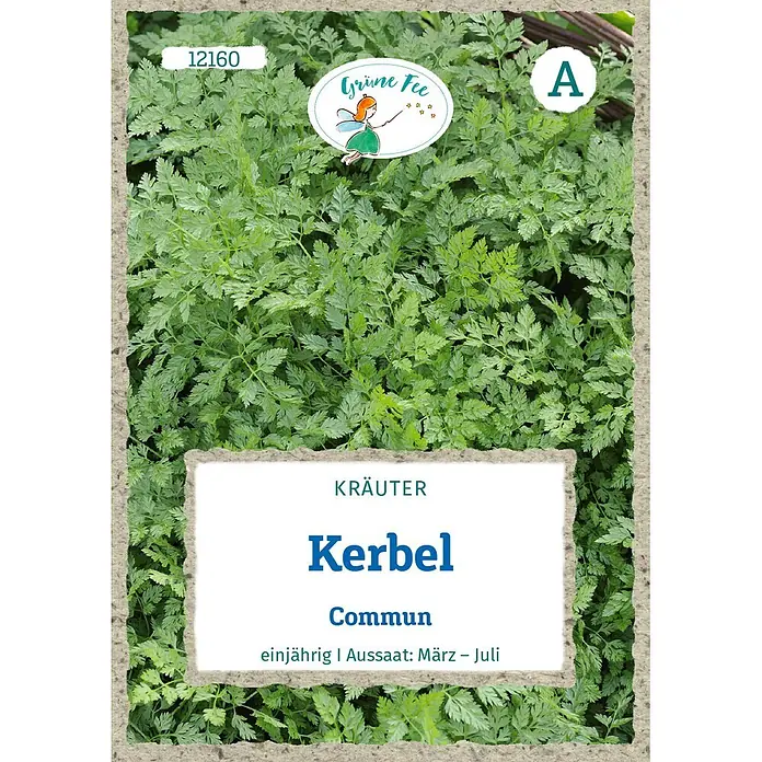 Grüne Fee Kerbel Commun -  - Samenpäckchen für Kerbel Commun (Grüne Fee Kräuter), Nr. 12160. Einjährig, Aussaat März-Juli.