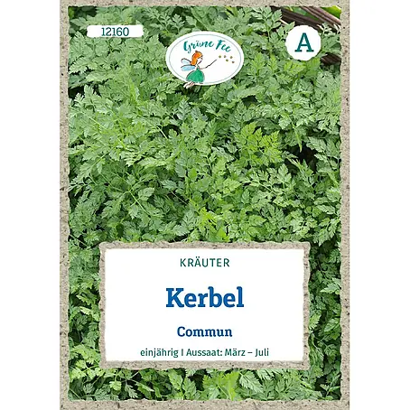Grüne Fee Kerbel Commun
