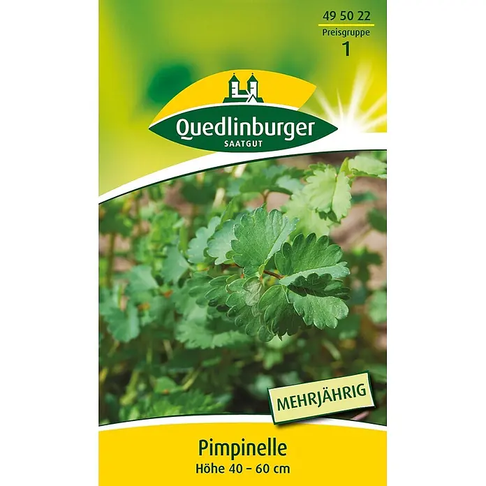 Quedlinburger SAATGUT Kräutersamen Pimpinelle - Sanguisorba minor, Saatzeit: März, Erntezeit: März - Samentüte für Pimpinelle von Quedlinburger Saatgut, als mehrjährig und 40-60 cm hoch gekennzeichnet.