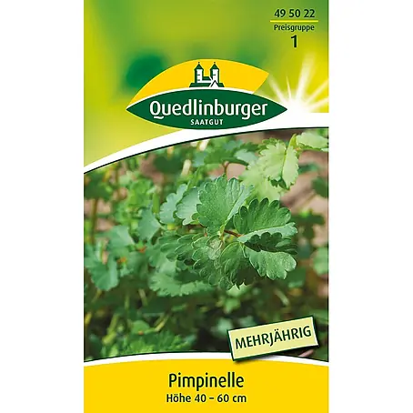 Quedlinburger SAATGUT  Kräutersamen Pimpinelle