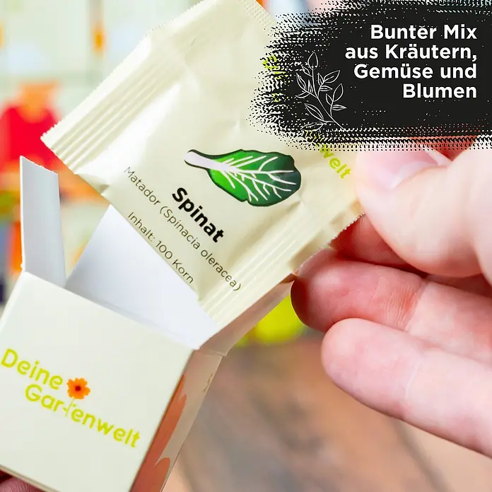 Deine Gartenwelt Saatgut Adventskalender - Mischung, 249 g - Hand legt Spinatsamen-Päckchen in „Deine Gartenwelt“-Box. Bunter Mix aus Kräutern, Gemüse und Blumen.