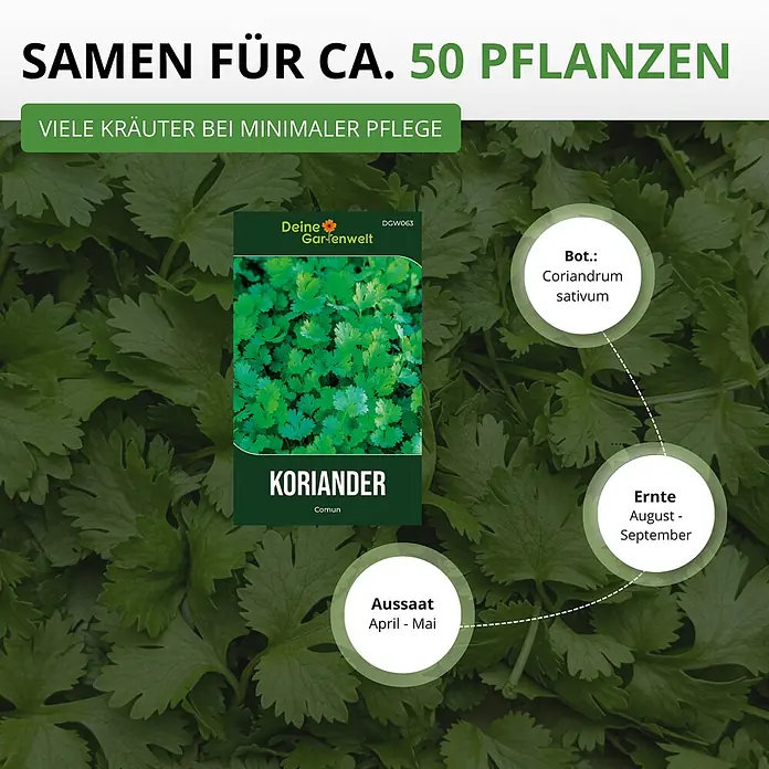 Deine Gartenwelt Koriander Comun -  - Grüne Samenpackung für Koriander mit Anbau-, Ernte- und botanischen Informationen.