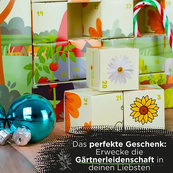 Deine Gartenwelt Saatgut Adventskalender - Mischung, 249 g - Gärtner-Adventskalender mit nummerierten Boxen, Blumenmotiven und Weihnachtsbaumkugeln.