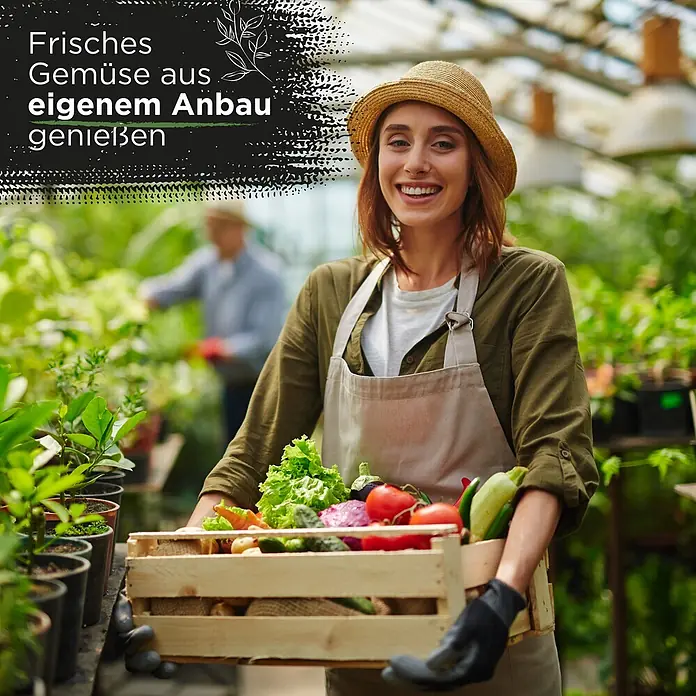 Deine Gartenwelt Saatgut Adventskalender - Mischung, 249 g - Frau hält Holzkiste mit frischem, selbst angebautem Gemüse.