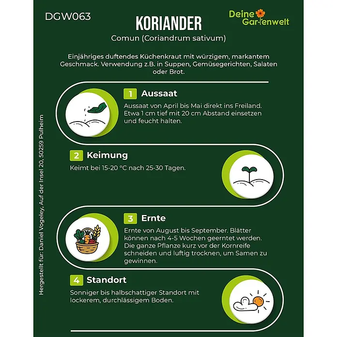 Deine Gartenwelt Koriander Comun -  - Grüne Infografik: Koriander-Anleitung mit Schritten für Aussaat, Keimung, Ernte und idealen Standort, inklusive Illustrationen.