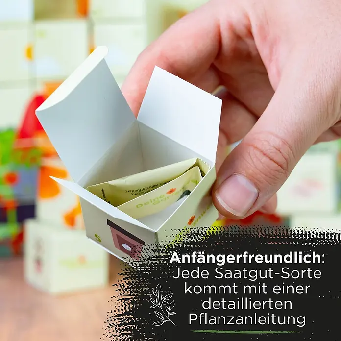Deine Gartenwelt Saatgut Adventskalender - Mischung, 249 g - Eine Hand hält eine kleine, weiße Pappschachtel mit einem Häuschen-Design geöffnet, die gelbe Samenpäckchen enthält.