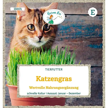 Grüne Fee  Saatgut Katzengras