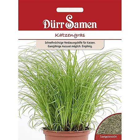 Dürr Samen Katzengras