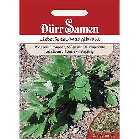 Dürr Samen  Kräutersamen Liebstöckel