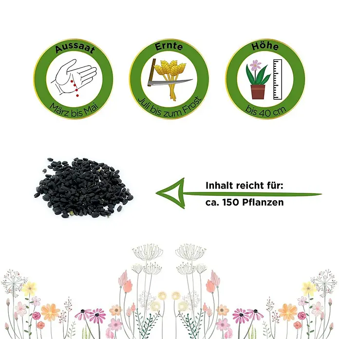 Deine Gartenwelt Kräutersamen Basilikum - Ocimum basilicum, Saatzeit: Ganzjährig, Erntezeit: Ganzjährig - Schwarze Samen mit Pflanzanleitung: Aussaat März-Mai, Ernte Juli-Frost, Höhe bis 40cm, reicht für ca. 150 Pflanzen.