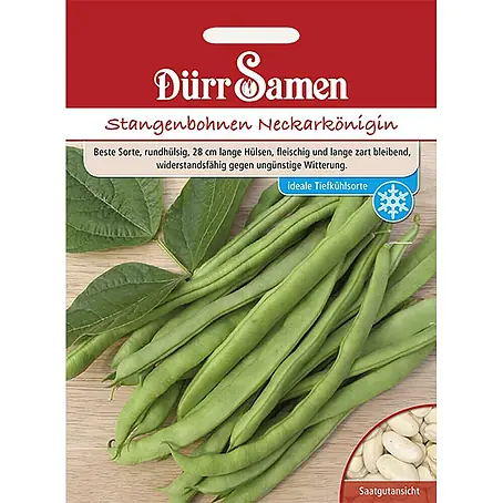 Dürr Samen  Gemüsesamen Stangenbohne