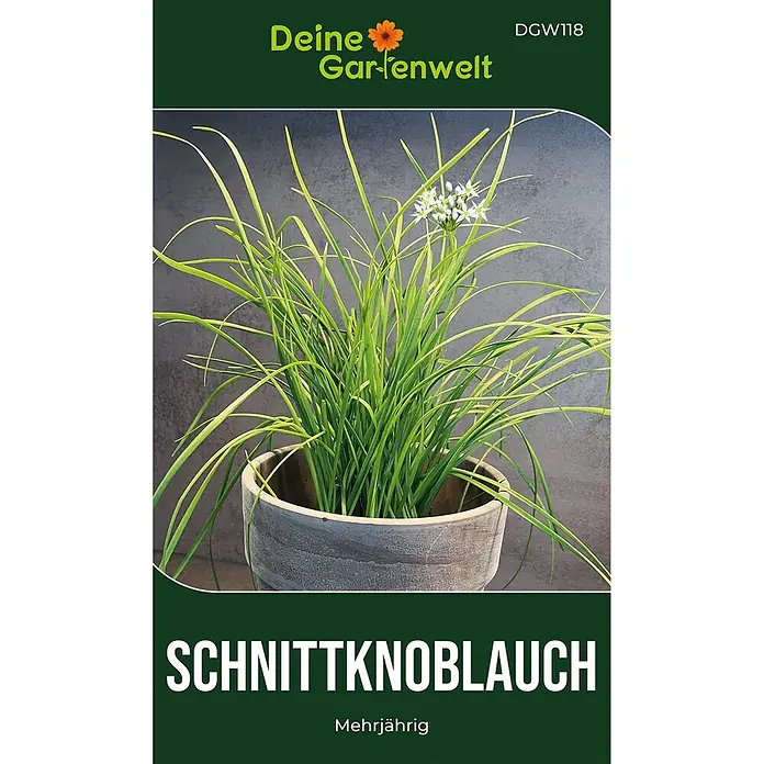 Deine Gartenwelt Schnittknoblauch Mehrjährig -  - Schnittknoblauch-Pflanze mit grünen Blättern und weißen Blüten in einem grauen Topf.