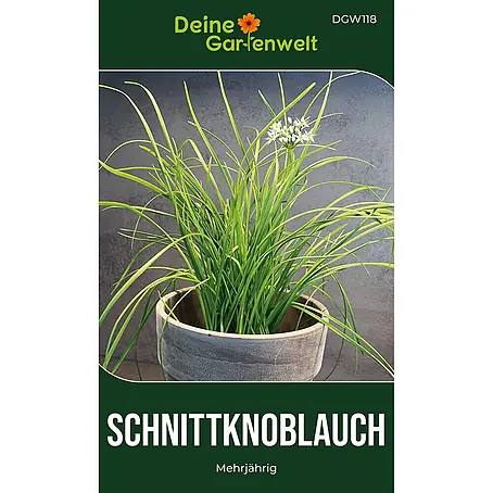 Deine Gartenwelt Schnittknoblauch Mehrjährig