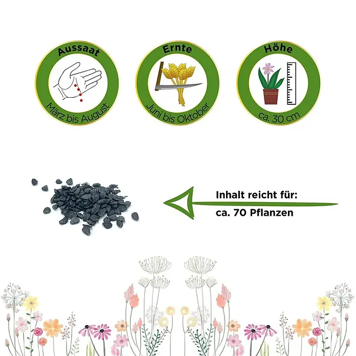Deine Gartenwelt Schnittknoblauch Mehrjährig -  - Schwarze Pflanzensamen mit Aussaat-, Ernte- und Höhenangaben. Inhalt reicht für ca. 70 Pflanzen.