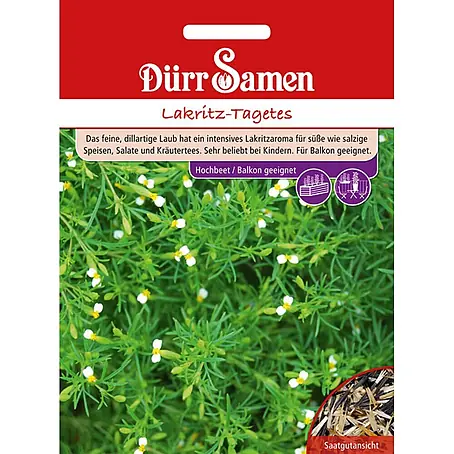 Dürr Samen Lakritz-Tagetes
