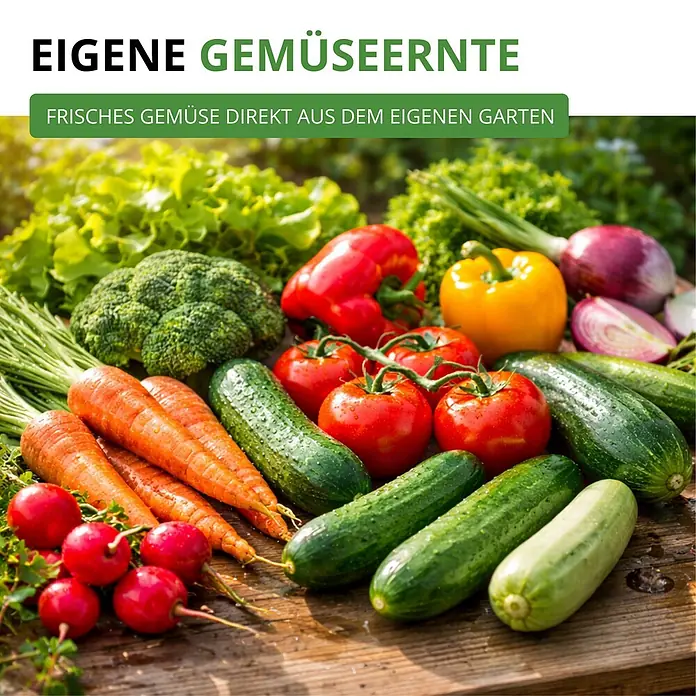 Deine Gartenwelt Gemüsesamen-Set mit 12 Sorten -  - Frisches, buntes Gemüse direkt aus dem Garten: Karotten, Radieschen, Gurken, Tomaten, Paprika, Brokkoli, Salat und Zwiebeln auf Holz.