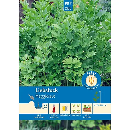 Pabst Keimkraft  Kräutersamen Liebstöckel