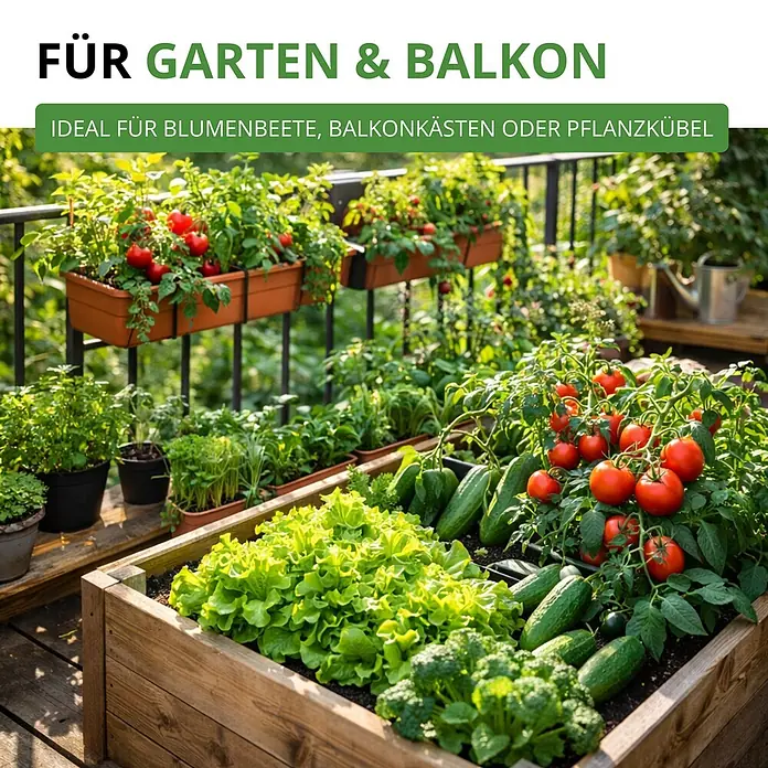 Deine Gartenwelt Gemüsesamen-Set mit 12 Sorten -  - Üppiger Balkongarten mit Holzhochbeet, Gemüse, Kräutern und Topfpflanzen. Ideal für kleine Flächen.