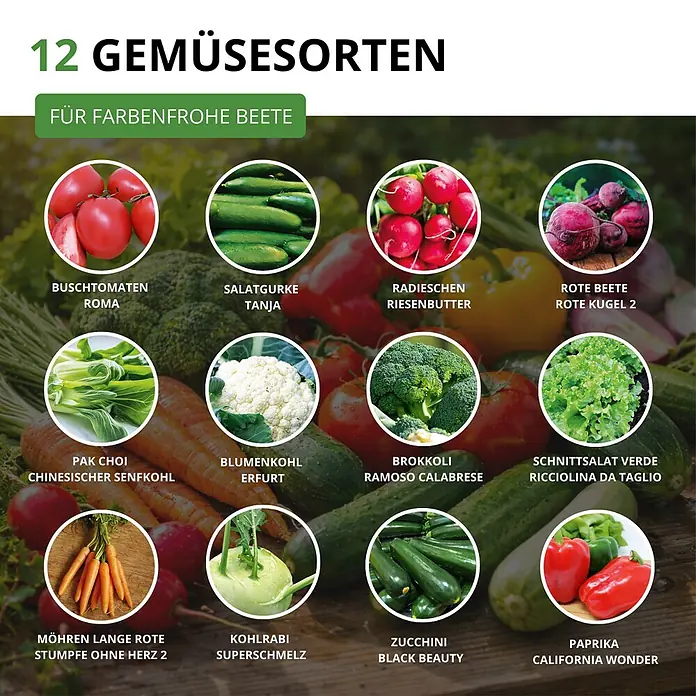 Deine Gartenwelt Gemüsesamen-Set mit 12 Sorten -  - 12 Gemüsesorten für farbenfrohe Beete, mit Bildern und Namen der Sorten.