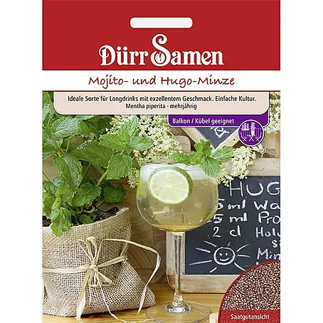 Dürr Samen Mojito- und Hugo-Minze