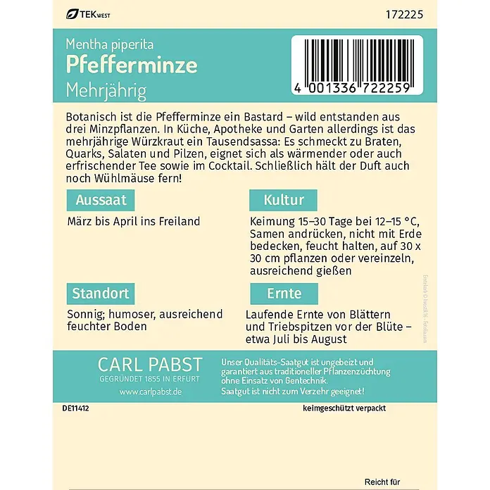 Pabst Keimkraft Kräutersamen Pfefferminze - Mentha x piperita, Saatzeit: März, Erntezeit: Juli - Hellblauer Samenbeutel für Pfefferminze von Carl Pabst mit Anbauanleitung.
