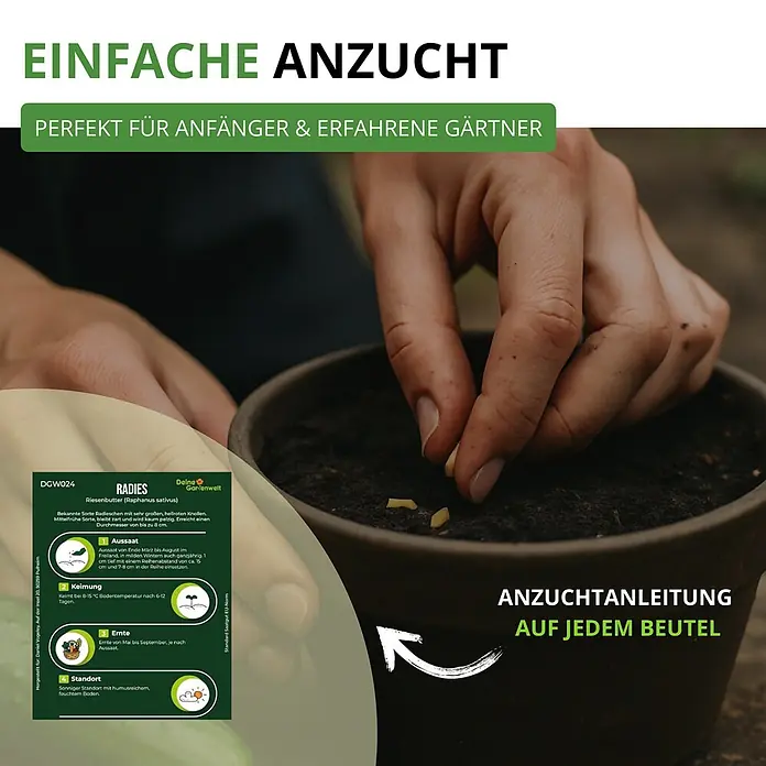 Deine Gartenwelt Gemüsesamen-Set mit 12 Sorten -  - Eine Hand pflanzt Radieschensamen in einen Topf; detaillierte Anzuchtanleitung für Radieschen auf einem Saatgutbeutel sichtbar.