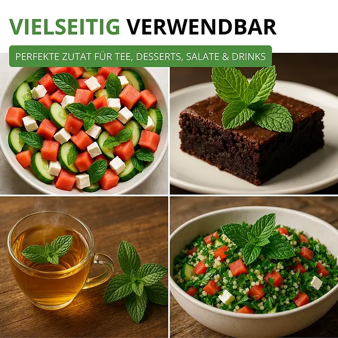 Deine Gartenwelt Pfefferminze -  - Frische Minzblätter als Zutat und Garnitur in Tee, einem Brownie und zwei Salaten, die ihre vielseitigen Anwendungen zeigen.