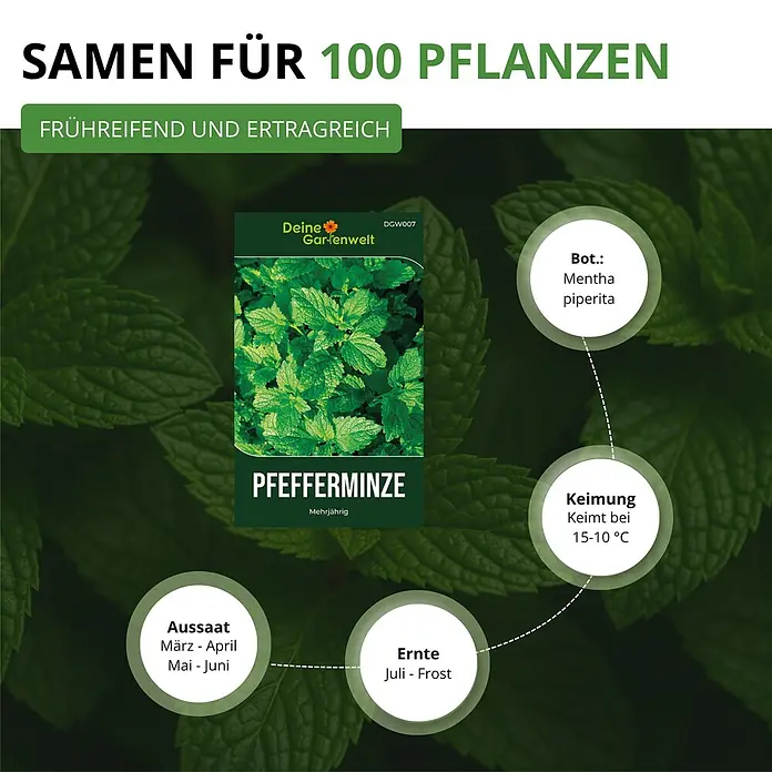 Deine Gartenwelt Pfefferminze -  - Samenpackung für Pfefferminze (Mentha piperita) mit Anbauinformationen, auf frischen Minzblättern.