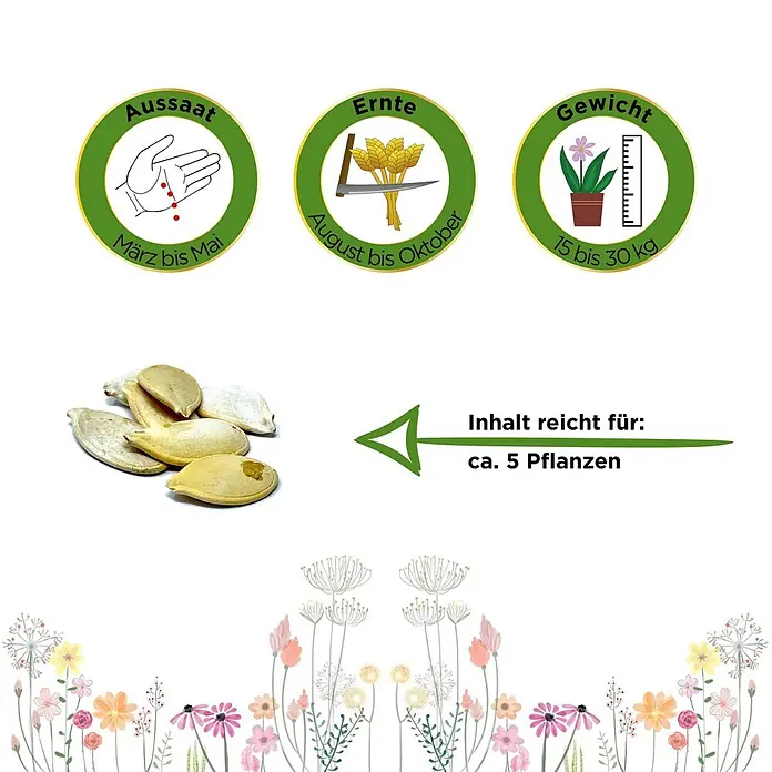 Deine Gartenwelt Kürbis Gelber Zentner -  - Kürbiskerne mit Anbauinfo: Aussaat März-Mai, Ernte Aug-Okt, 15-30 kg Ertrag. Inhalt reicht für ca. 5 Pflanzen.