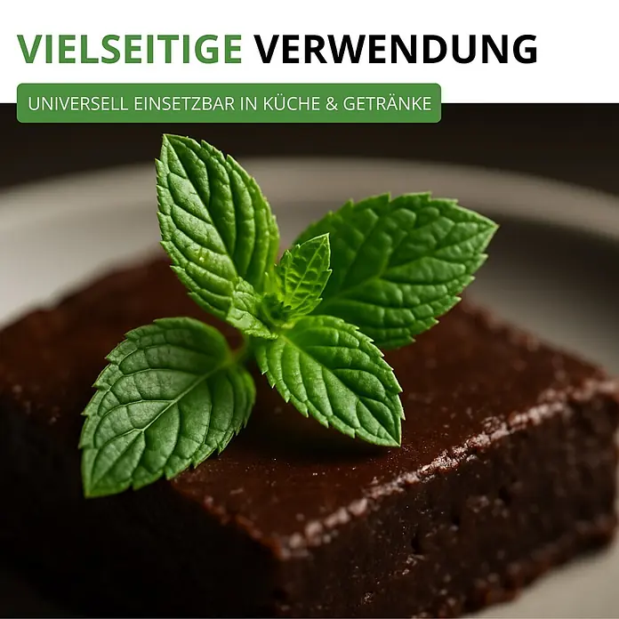 Deine Gartenwelt Pfefferminze -  - Dunkles Schokoladendessert mit frischer Minze auf einem Teller.