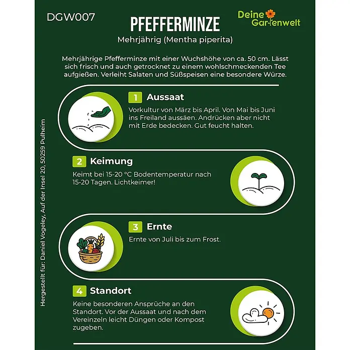 Deine Gartenwelt Pfefferminze -  - Infografik zur Pfefferminz-Anzucht, mit Details zu Aussaat, Keimung, Ernte und Standort, illustriert durch Symbole.