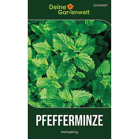 Deine Gartenwelt Pfefferminze